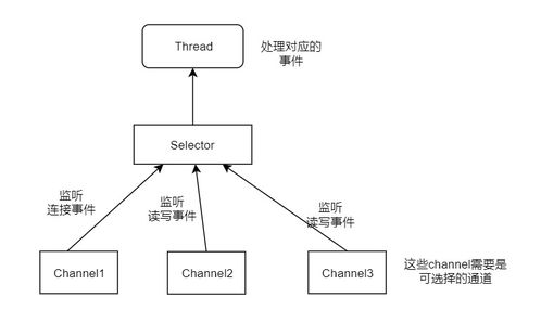 Netty高性能网络通信与NIO技术在生物质能资源数据库信息系统中的应用