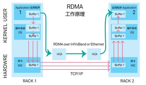火遍全网的DPU，到底是个啥？连同生物质能资源数据库信息系统一起看懂