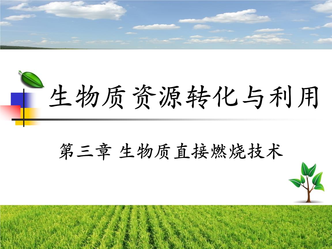 生物质资源的高效转化与创新应用展望